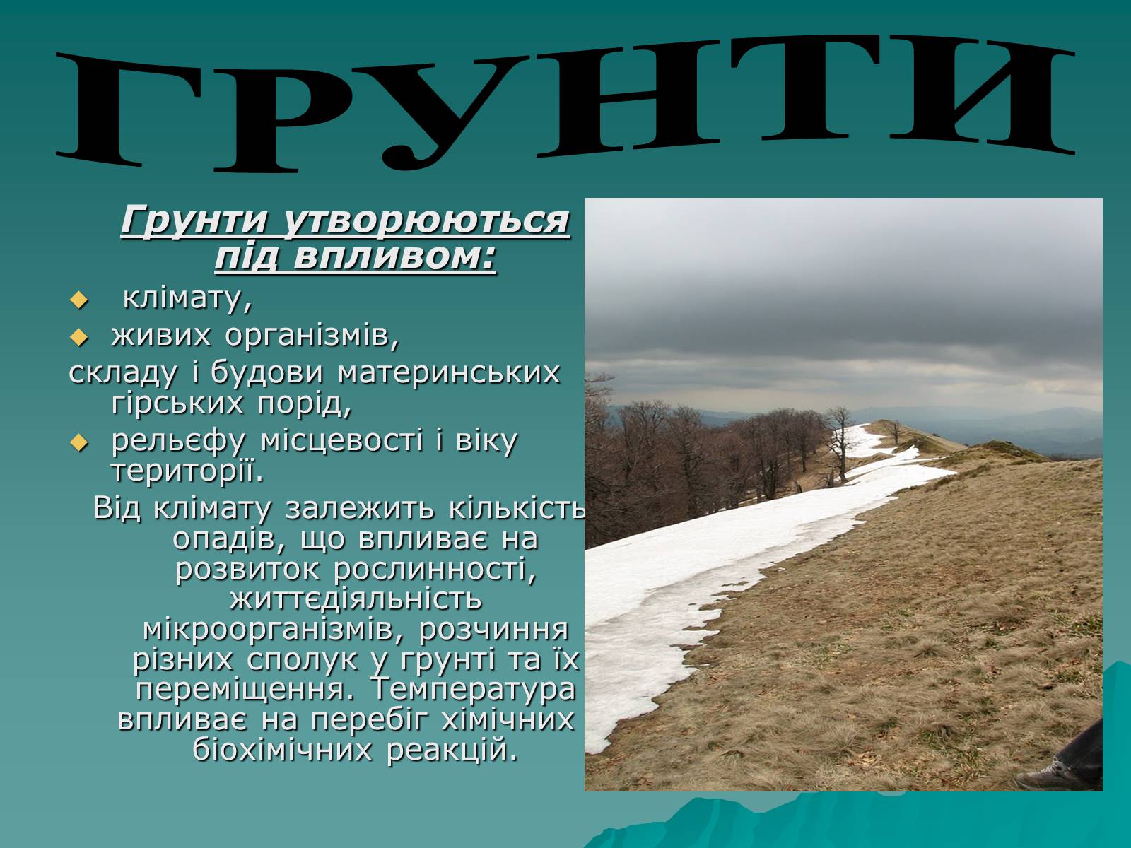Презентація на тему «Українські Карпати» (варіант 1) - Слайд #14