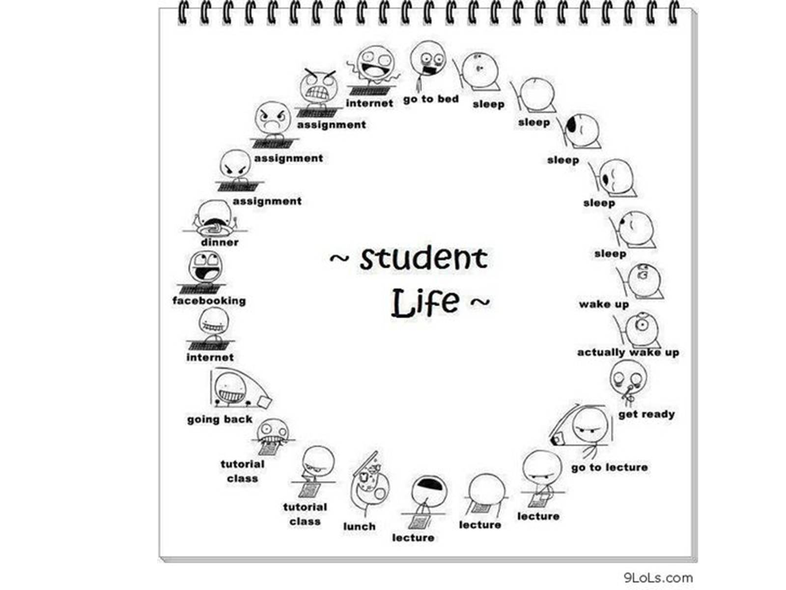 Презентація на тему «Student’s Life» - Слайд #15