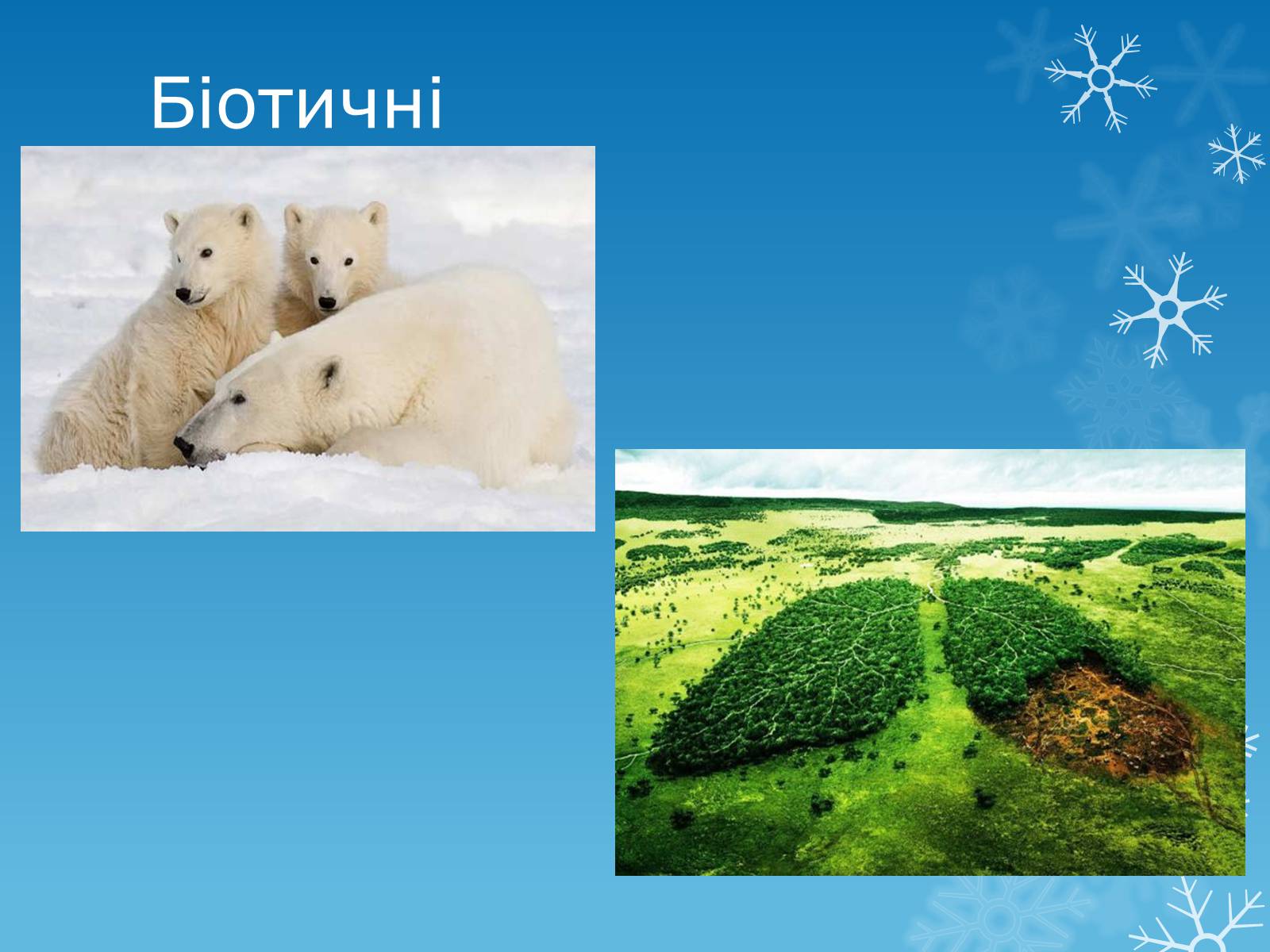 Презентація на тему «Екологічні проблеми» (варіант 12) - Слайд #8