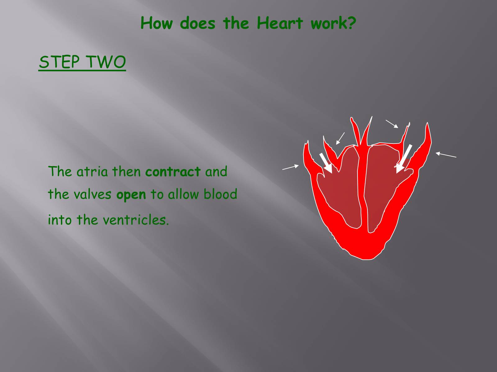 Презентація на тему «Circulatory System» - Слайд #9