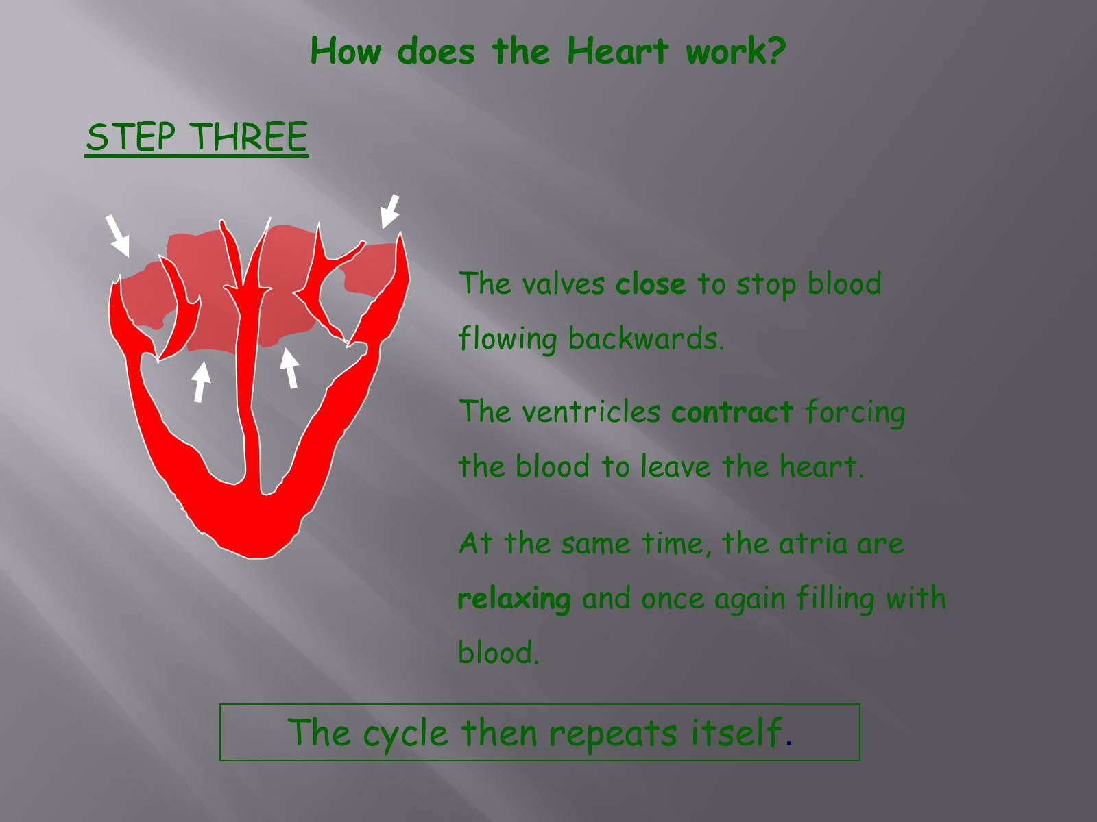 Презентація на тему «Circulatory System» - Слайд #10