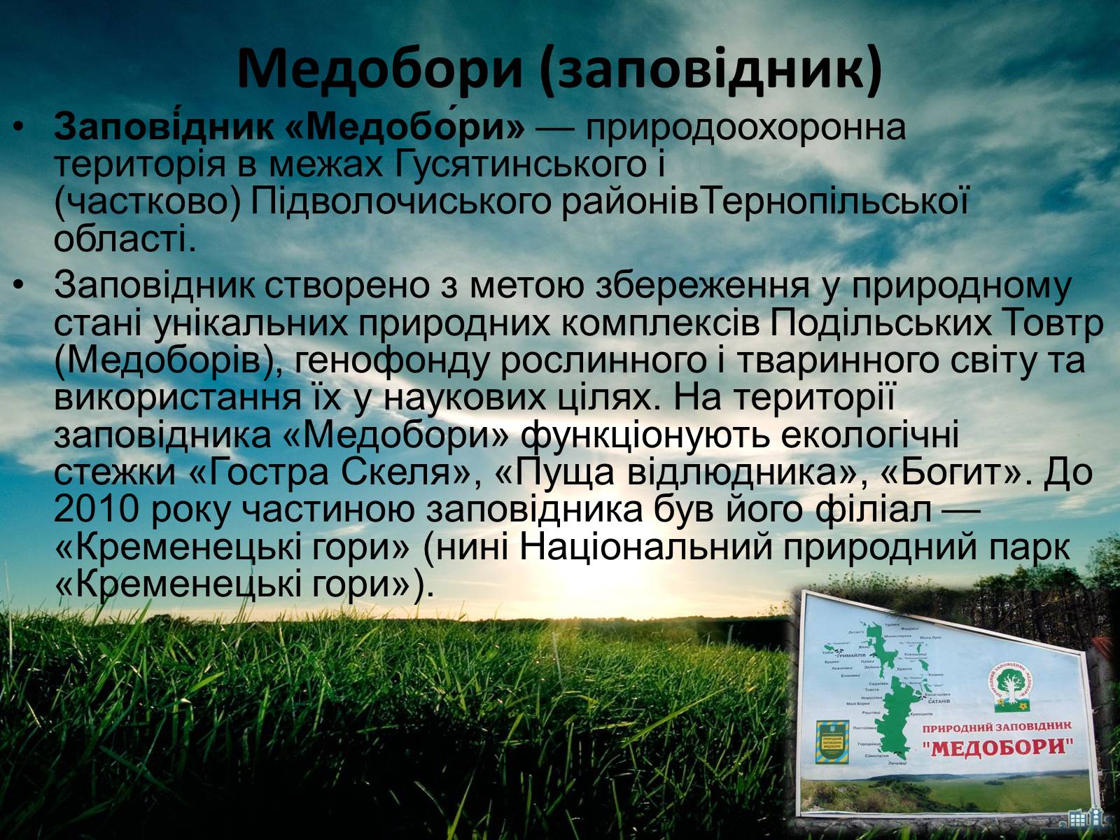 Презентація на тему «Заповідна мережа України» (варіант 3) - Слайд #28