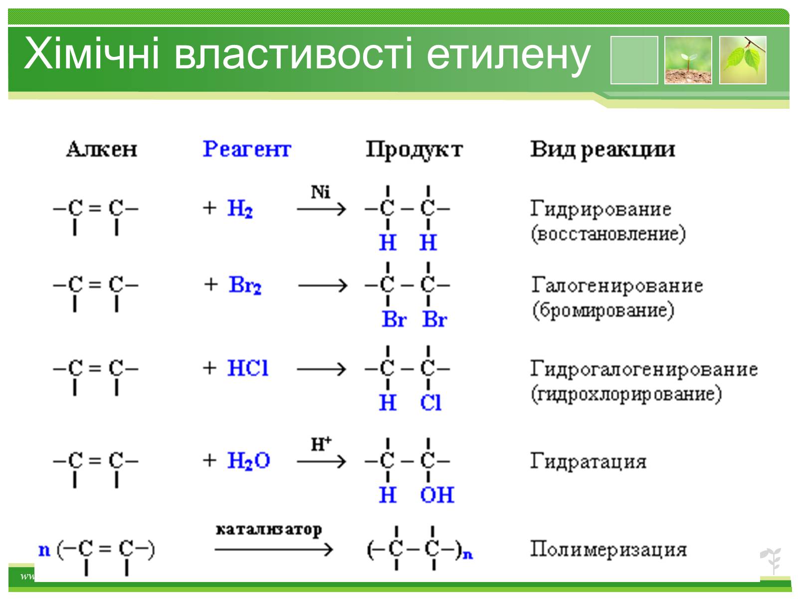 Презентація на тему «Предмет органічної хімії» - Слайд #29