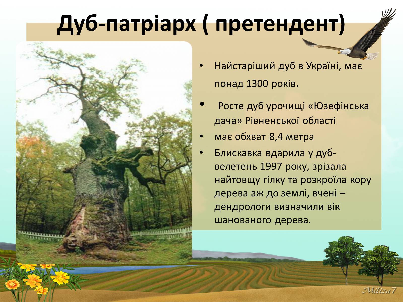 Презентація на тему «Чудеса України» - Слайд #11