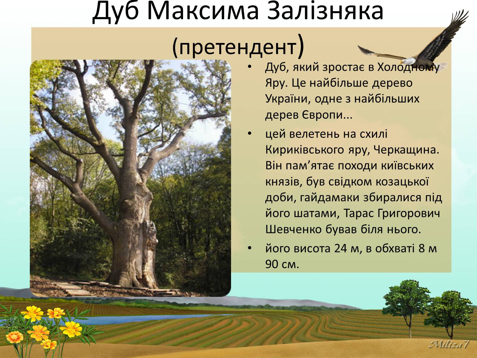 Презентація на тему «Чудеса України» - Слайд #12