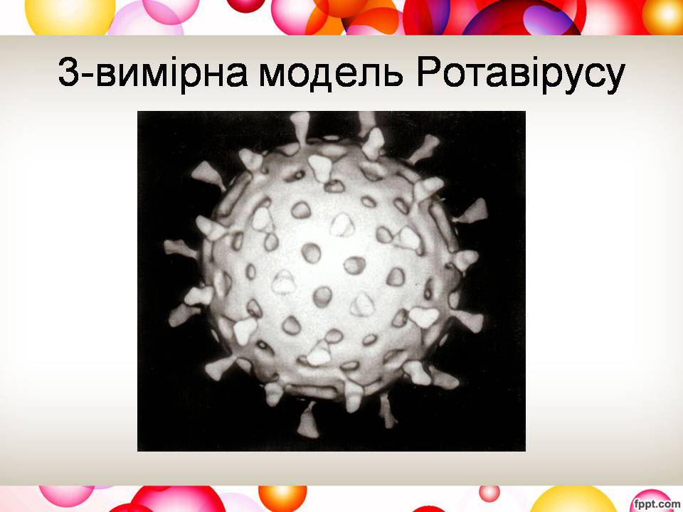 Презентація на тему «Віруси та їхня будова» - Слайд #13