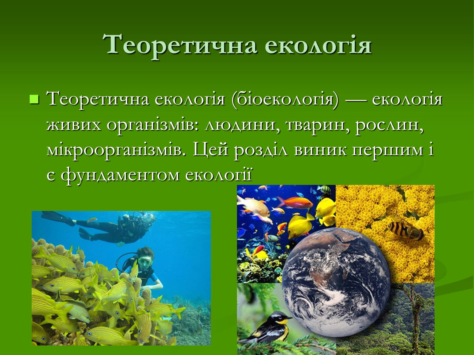 Презентація на тему «Структура сучасної екології та її місце в системі наук» (варіант 1) - Слайд #15