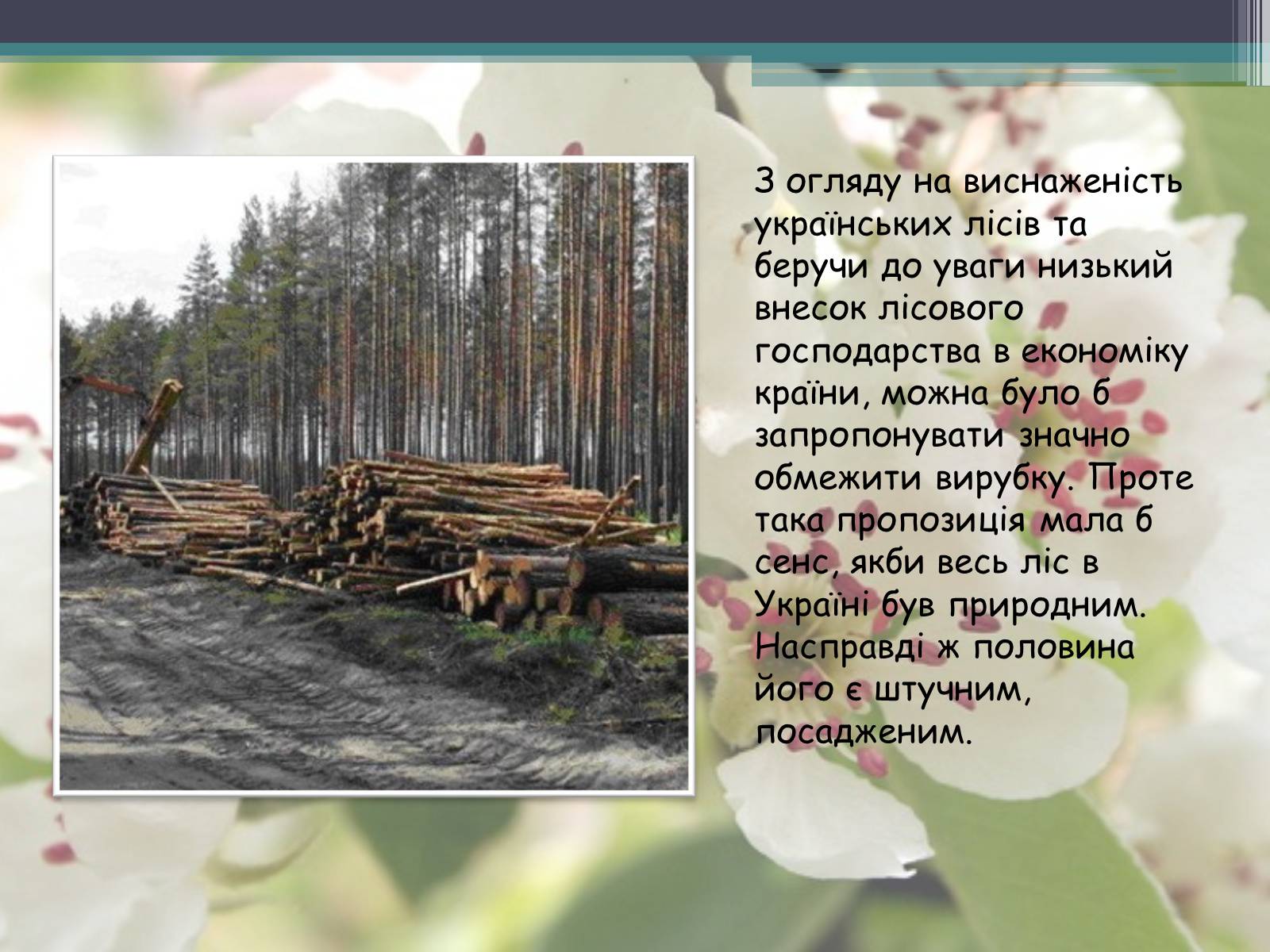 Презентація на тему «Ліси потребують допомоги» - Слайд #18