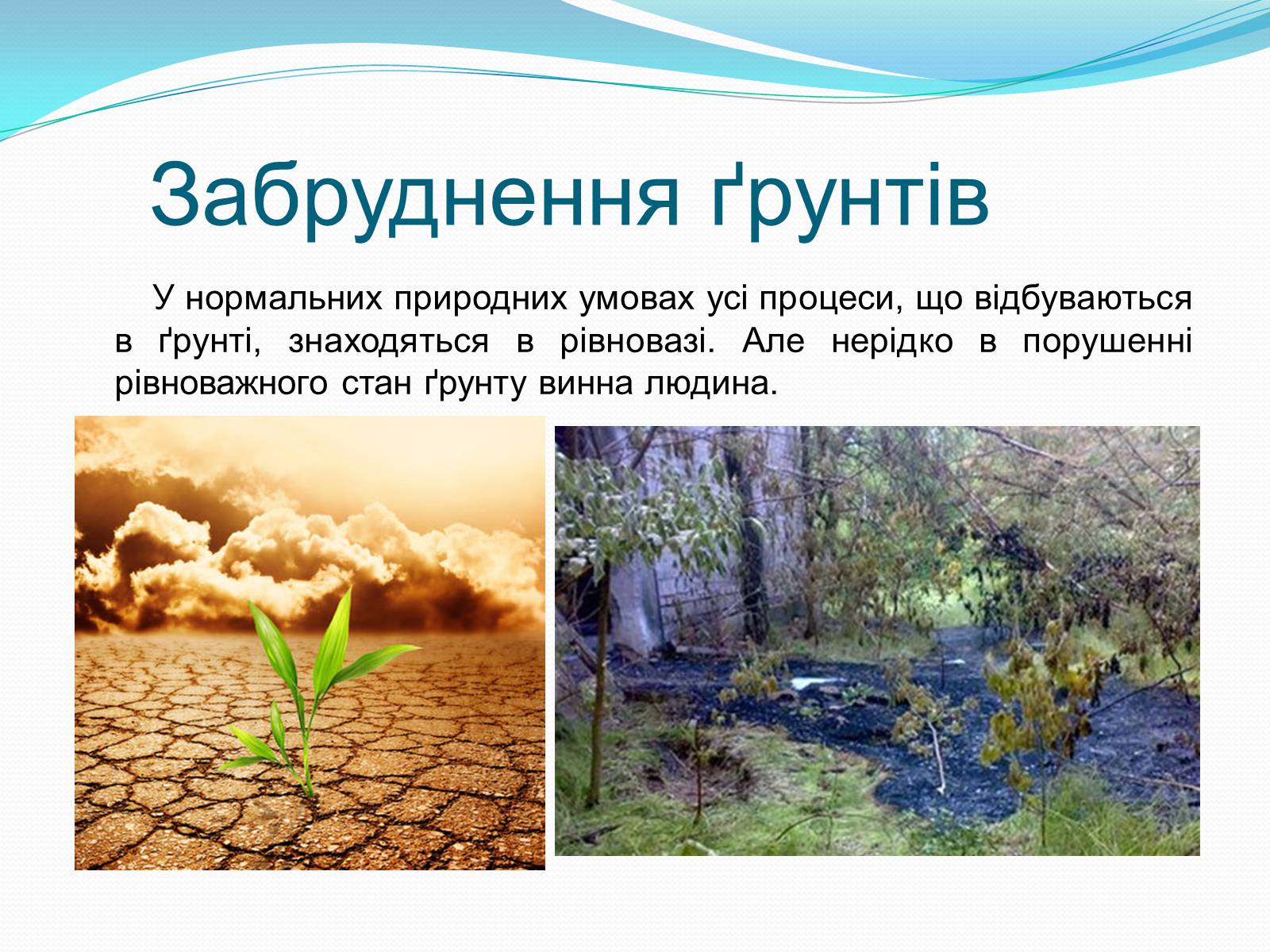 Презентація на тему «Забруднення біосфери» (варіант 2) - Слайд #10