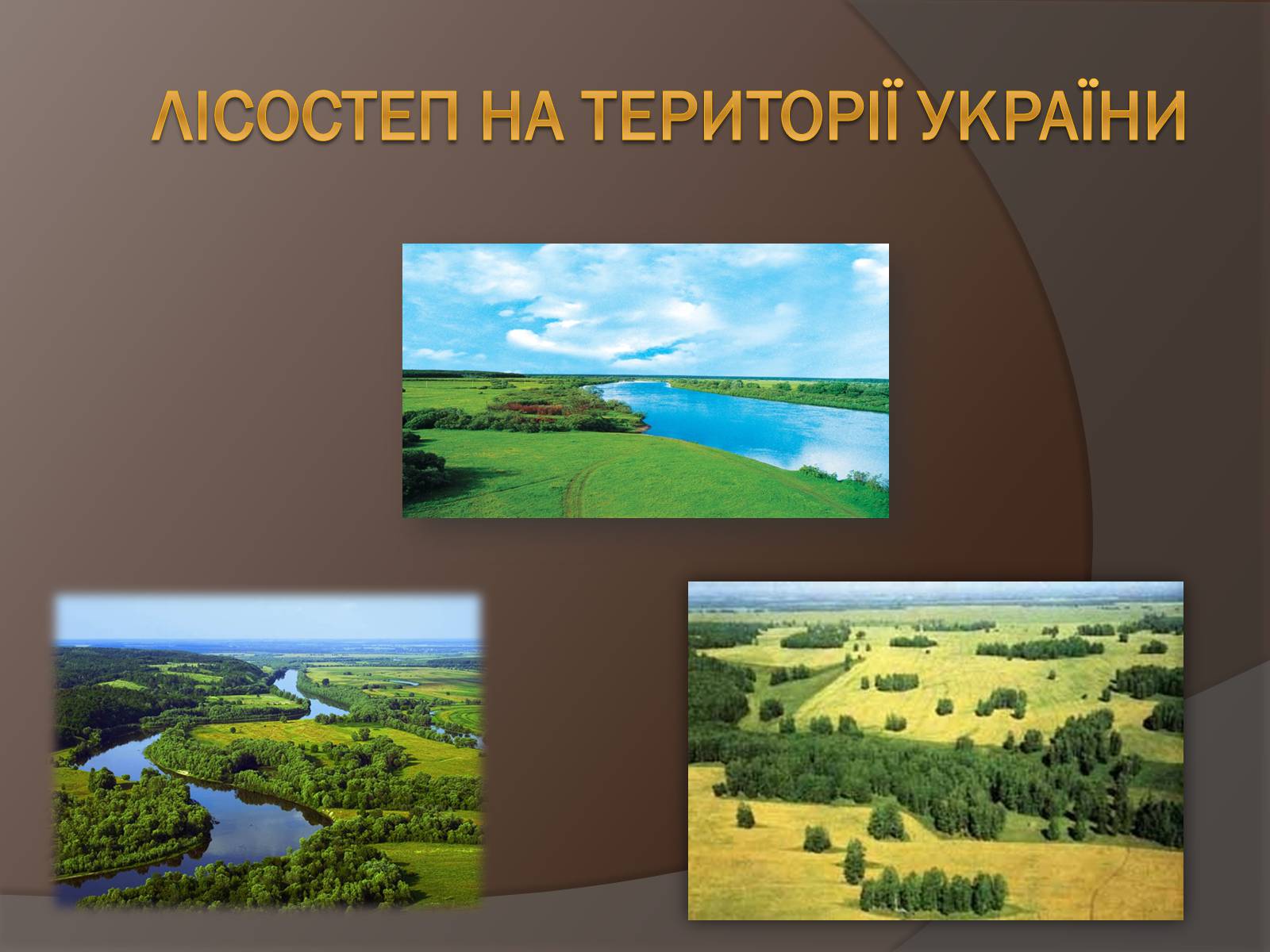 Презентація на тему «Лісостеп на території України» - Слайд #1