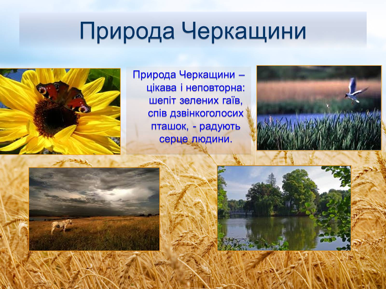 Презентація на тему «Черкащина - серце України» - Слайд #3