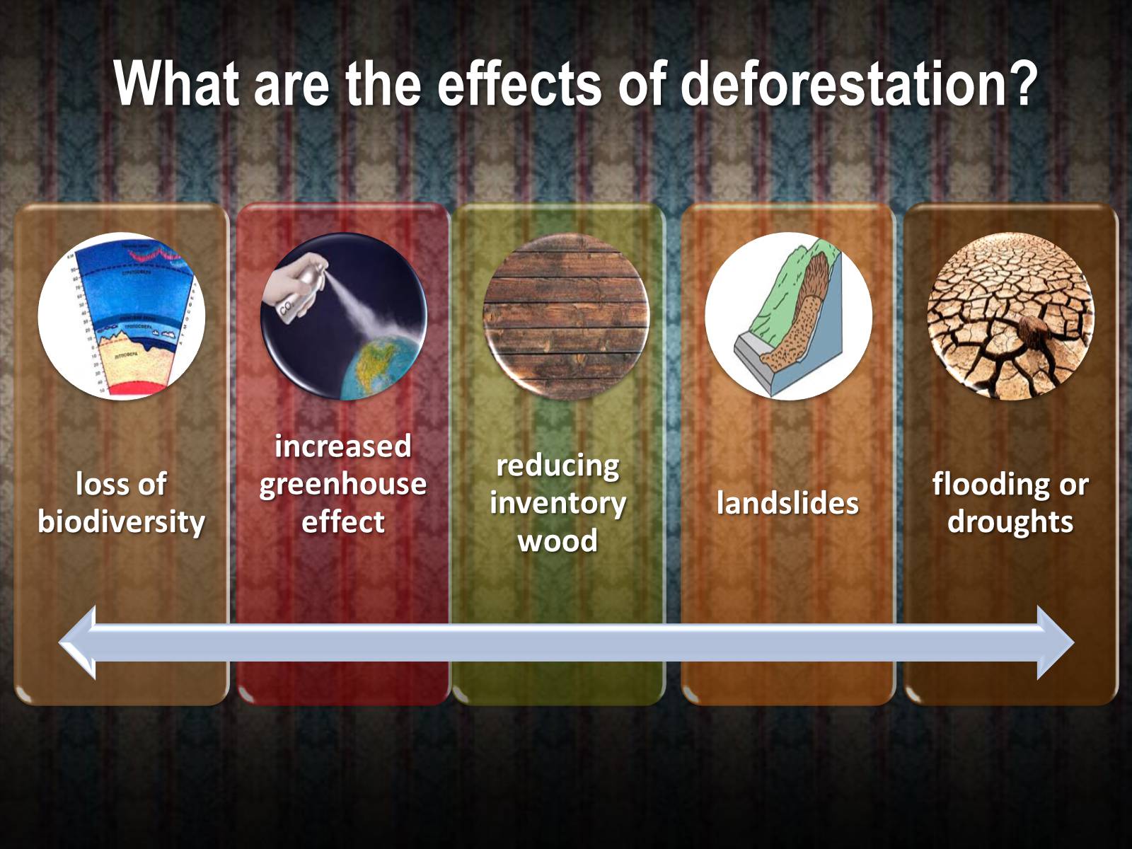 Презентація на тему «Deforestation» (варіант 1) - Слайд #5