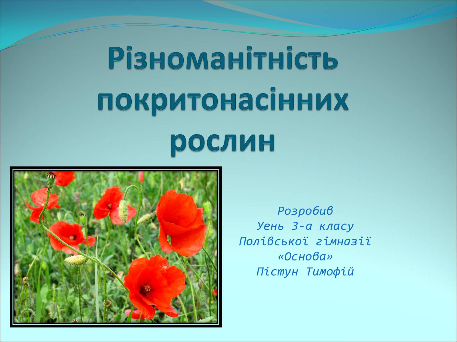 Презентація на тему «Різноманітність покритонасінних рослин» - Слайд #1