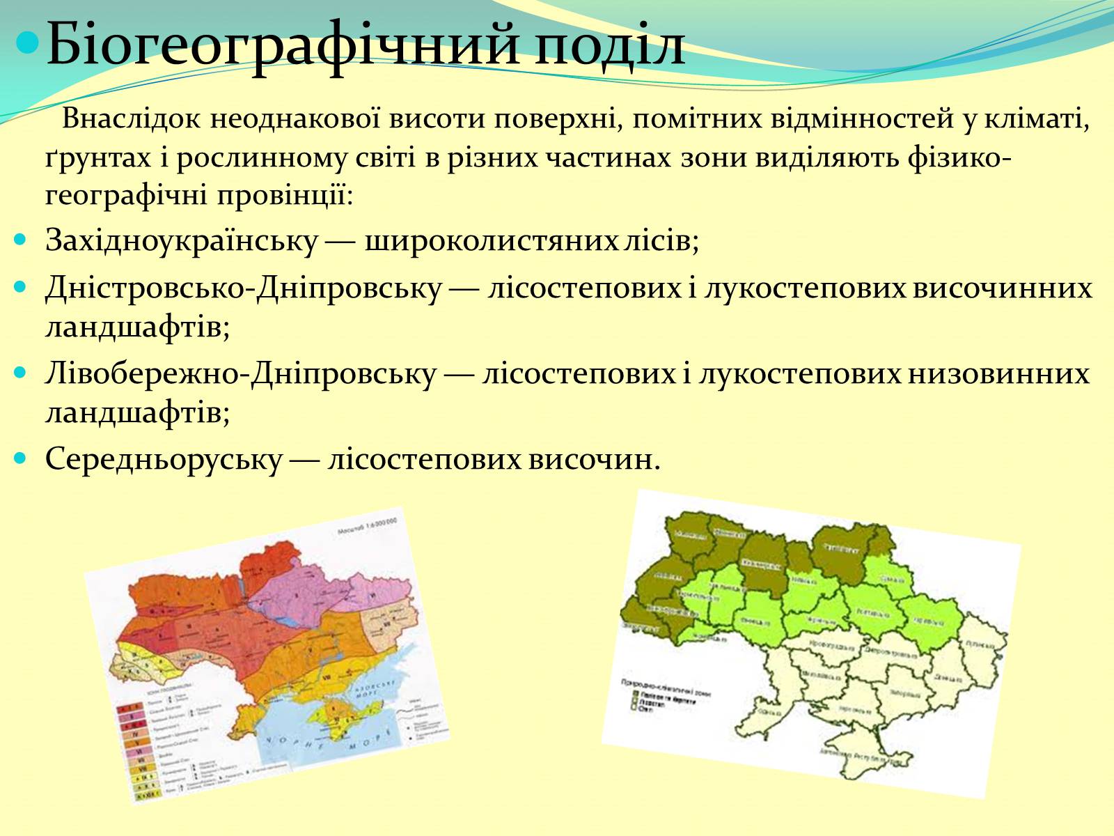 Презентація на тему «Лісостеп України» - Слайд #7
