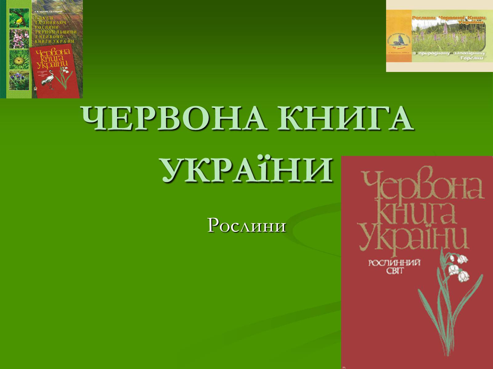 Презентація на тему «Червона книга України» (варіант 2) - Слайд #1