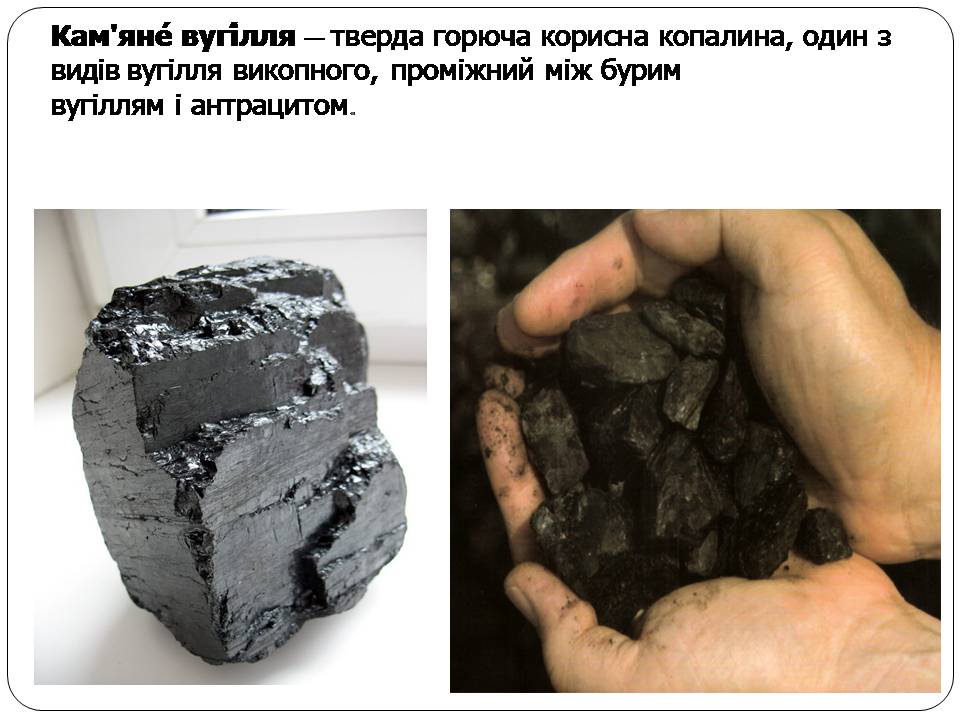 Презентація на тему «Кам’яне вугілля» (варіант 9) - Слайд #2