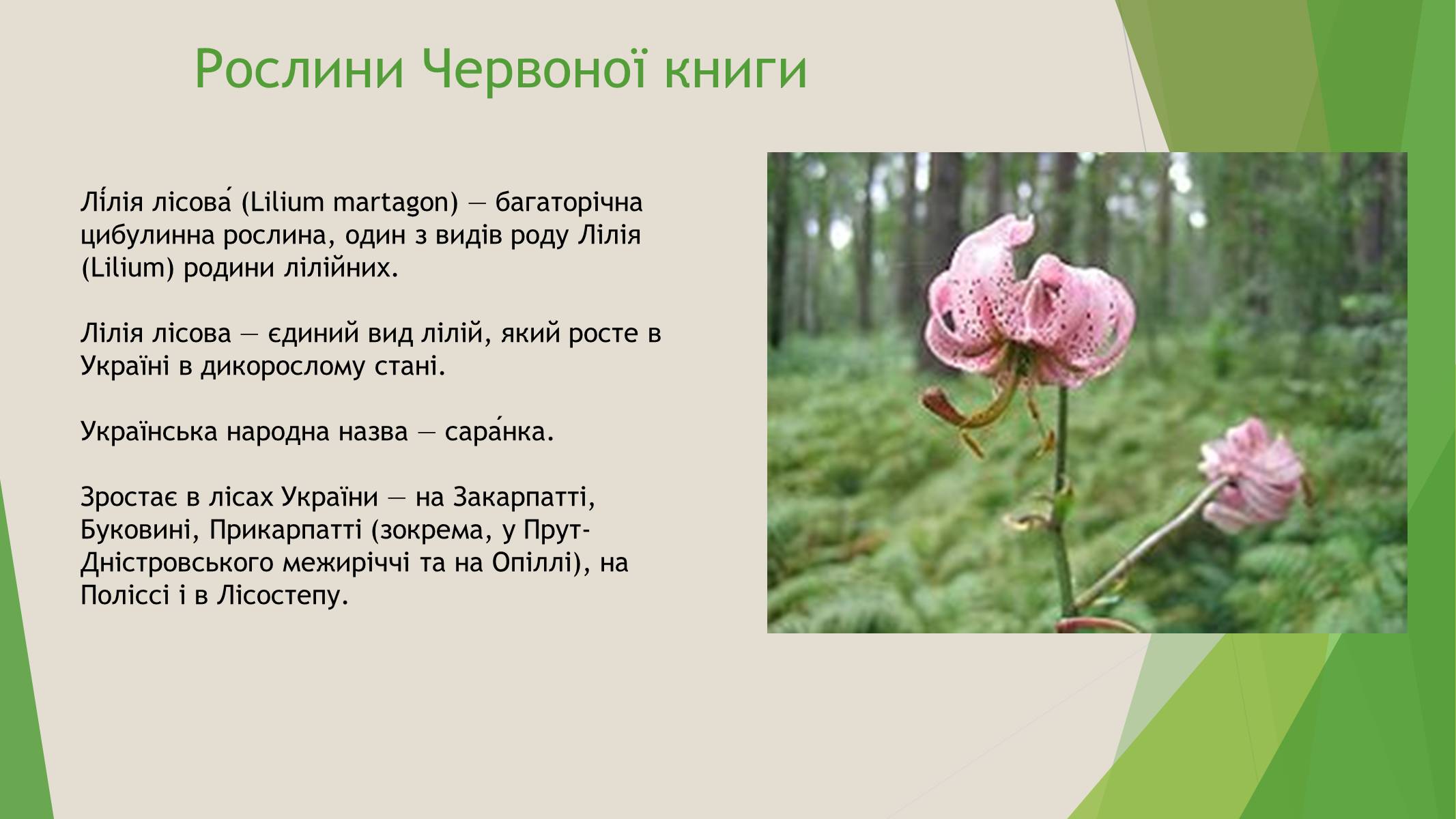 Презентація на тему «Червона книга України» (варіант 7) - Слайд #6