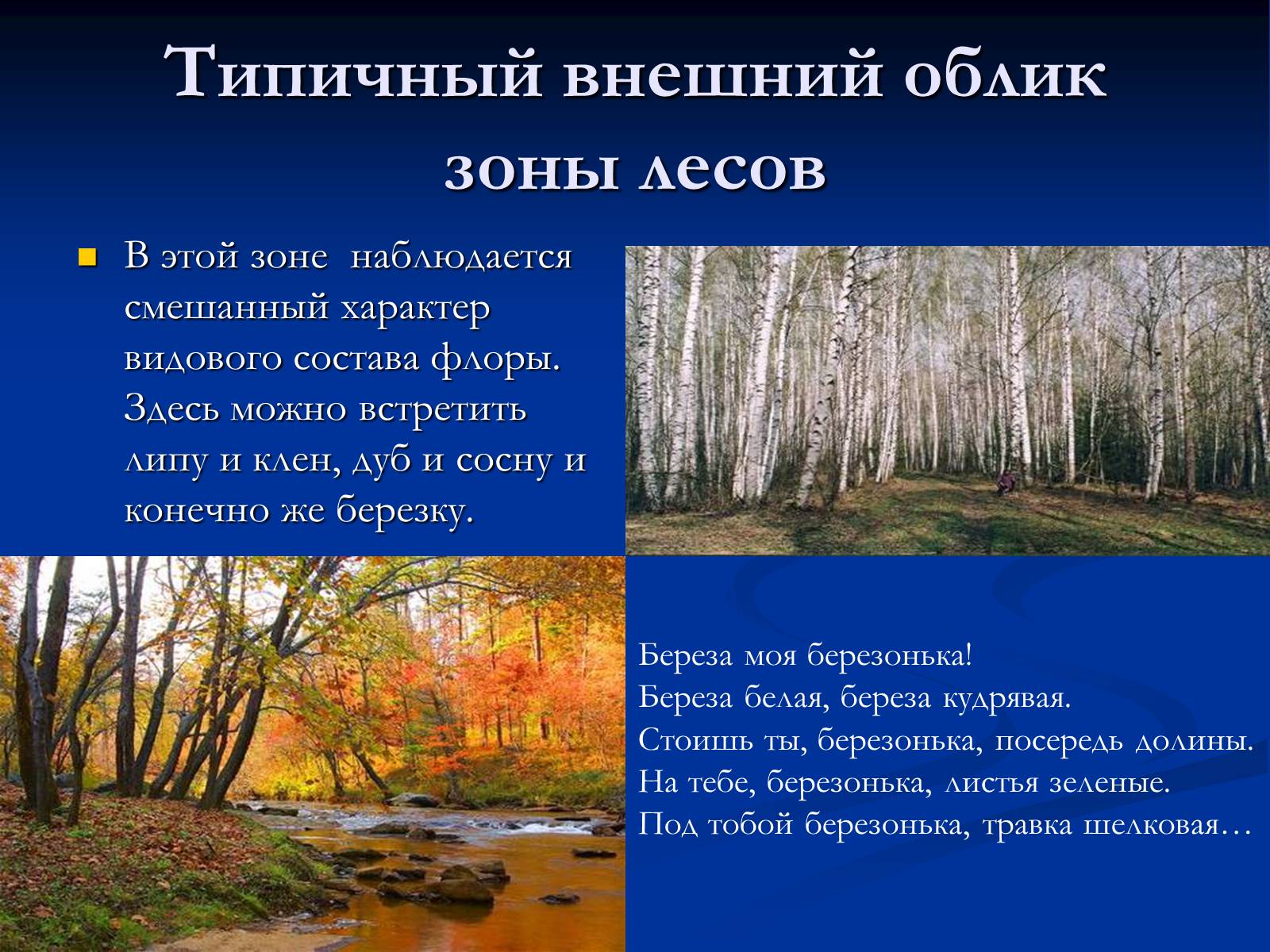Презентація на тему «Природная зона смешанных и широколиственных лесов» - Слайд #3