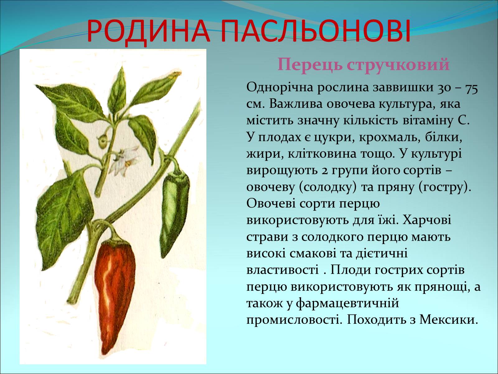 Презентація на тему «Різноманітність покритонасінних рослин» - Слайд #51