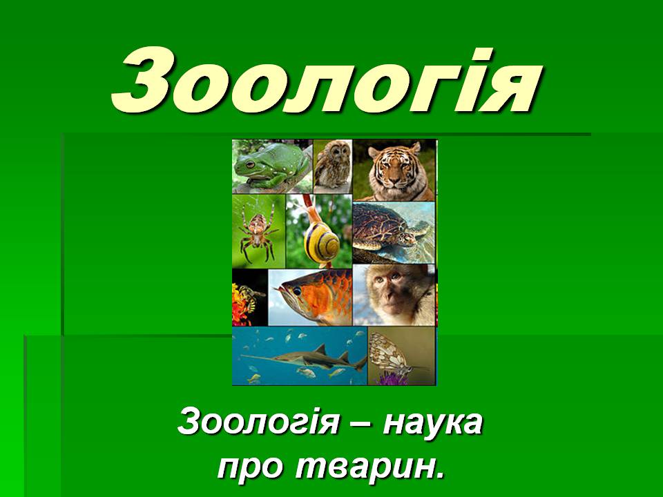 Презентація на тему «Зоологія» - Слайд #1