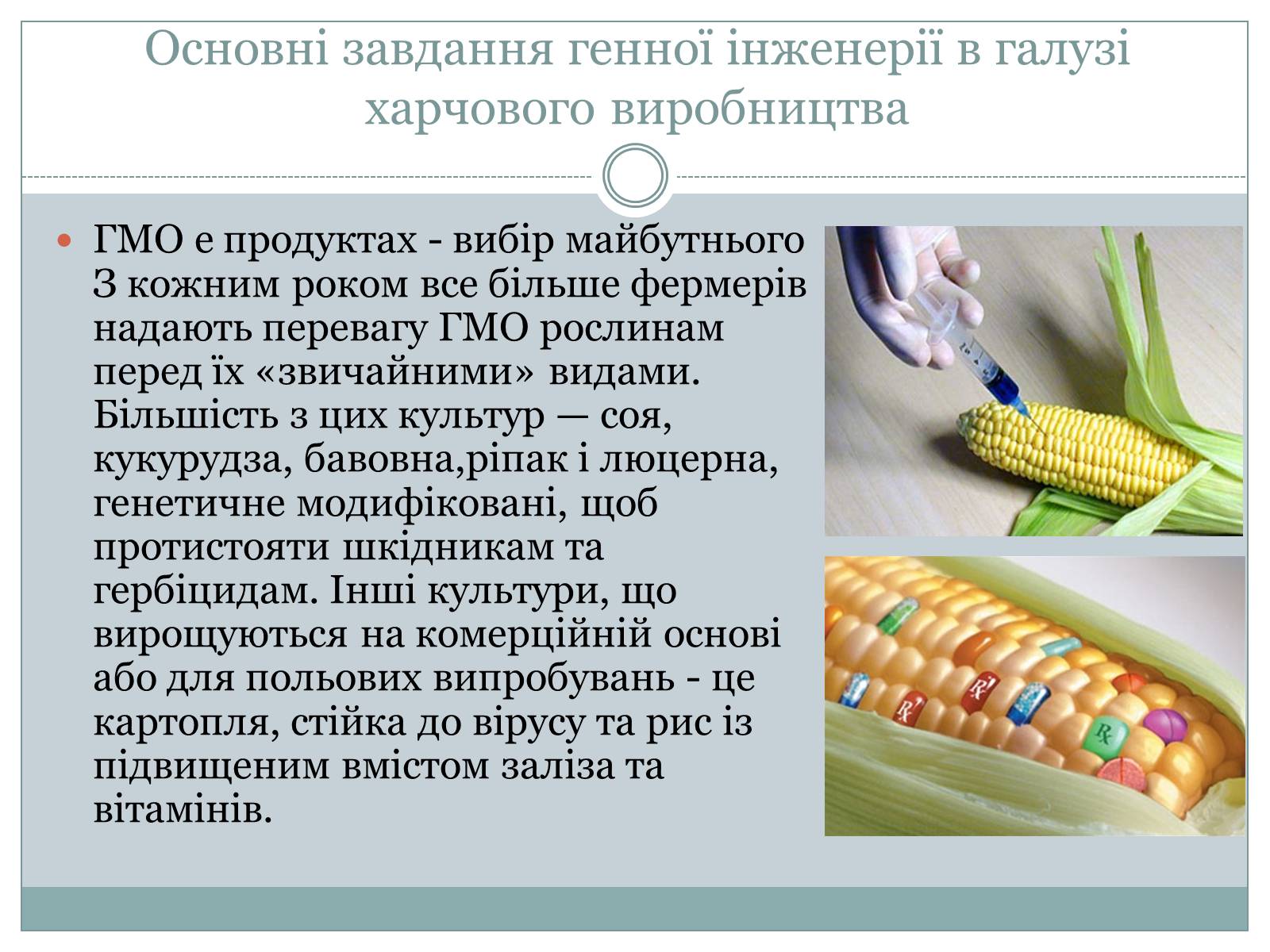 Презентація на тему «ГМО» (варіант 4) - Слайд #10
