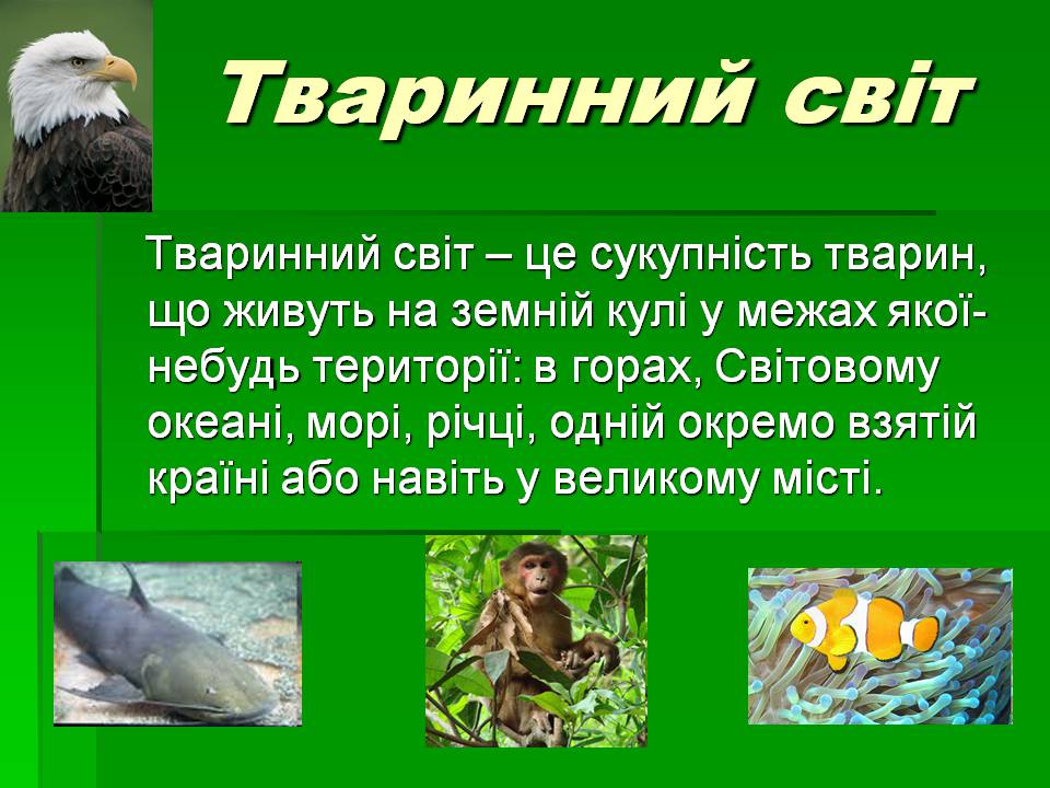 Презентація на тему «Зоологія» - Слайд #6