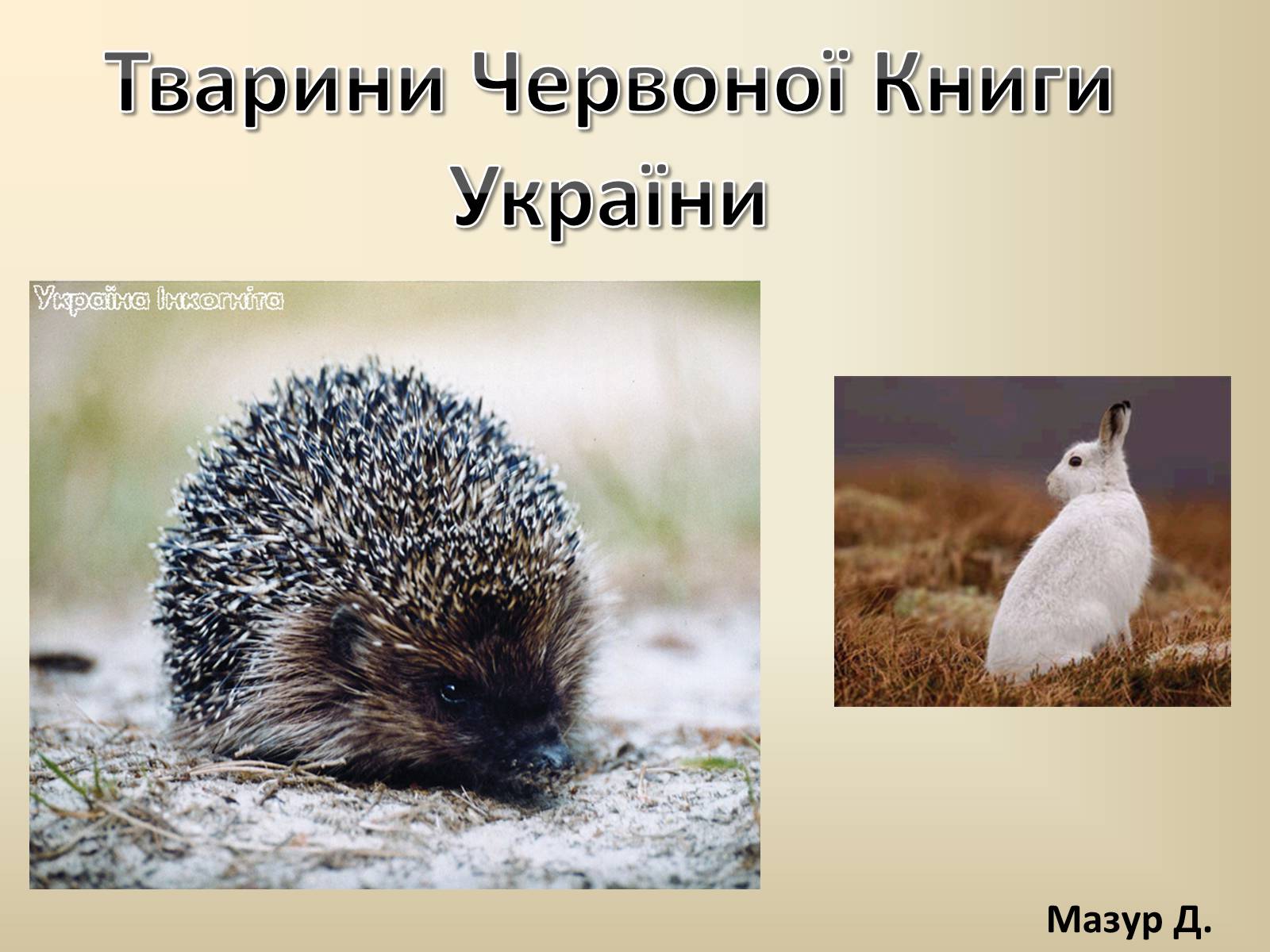 Презентація на тему «Тварини Червоної Книги України»