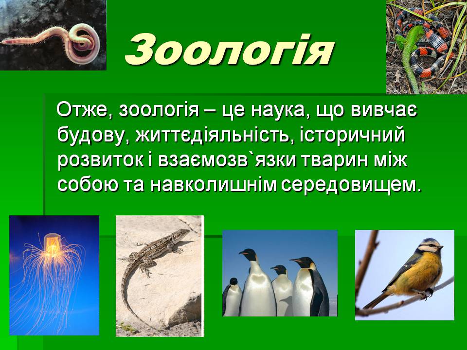 Презентація на тему «Зоологія» - Слайд #9