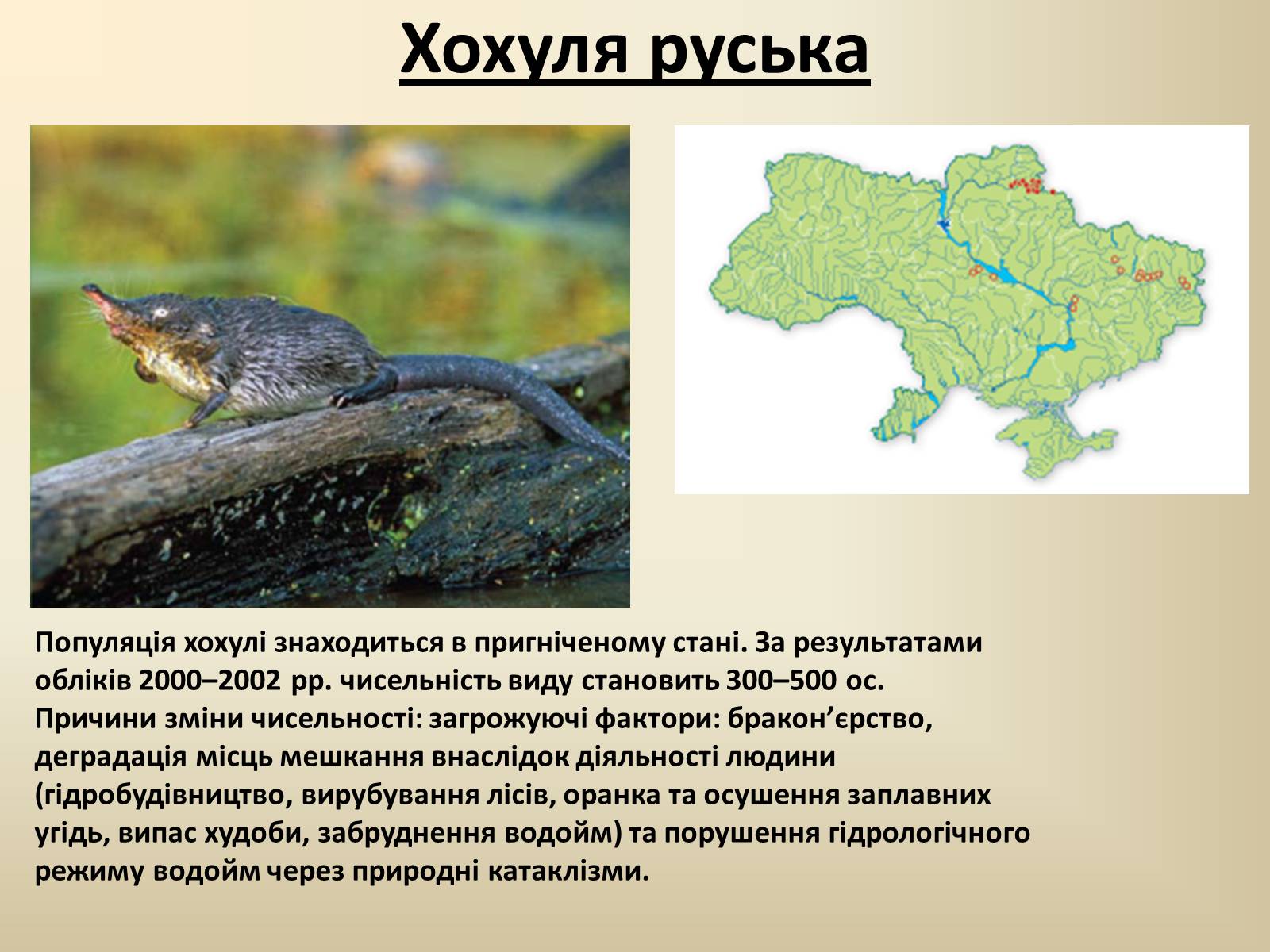 Презентація на тему «Тварини Червоної Книги України» - Слайд #16