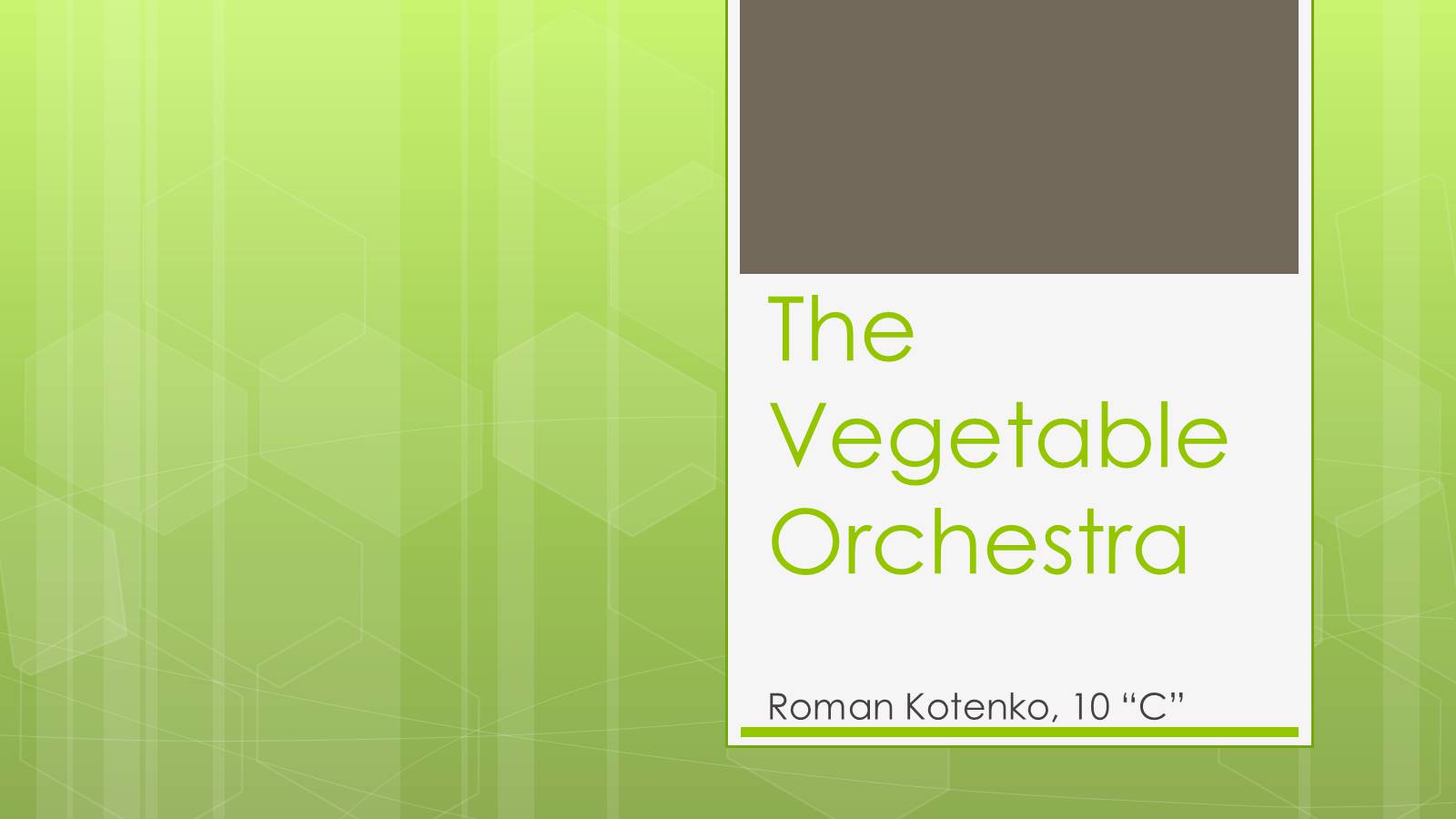 Презентація на тему «The Vegetable Orchestra» - Слайд #1