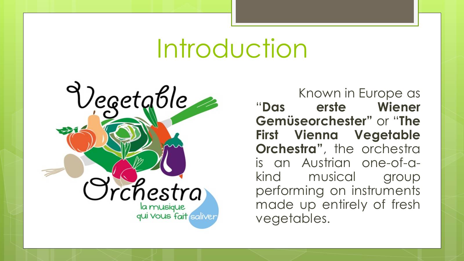 Презентація на тему «The Vegetable Orchestra» - Слайд #2