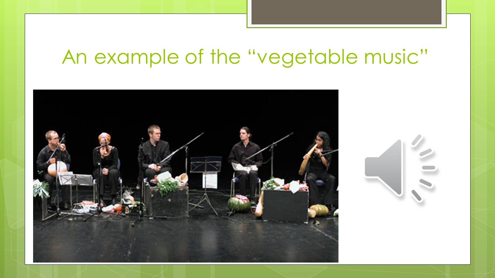 Презентація на тему «The Vegetable Orchestra» - Слайд #5