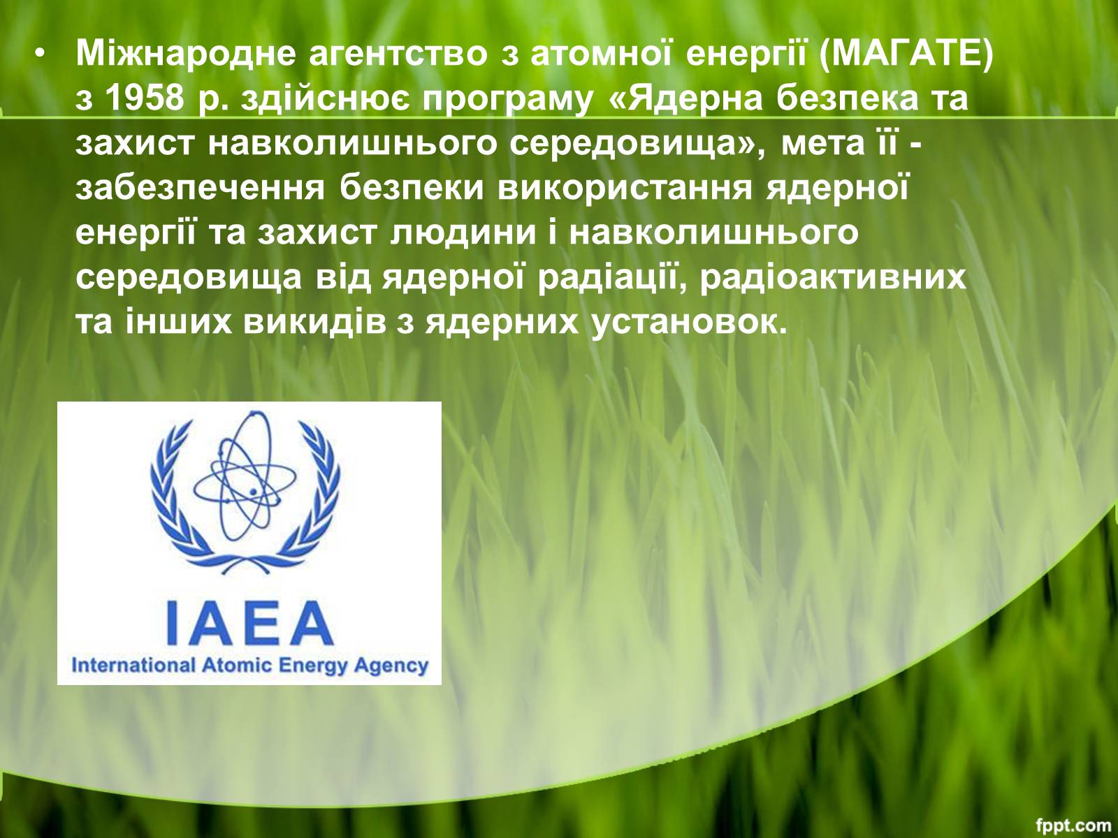 Презентація на тему «Міжнародні організації та охорона навколишнього середовища» - Слайд #11