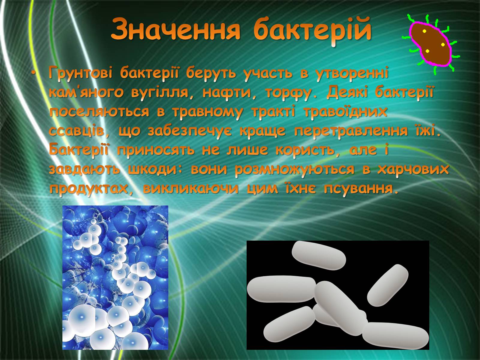 Презентація на тему «Бактерії» (варіант 3) - Слайд #12