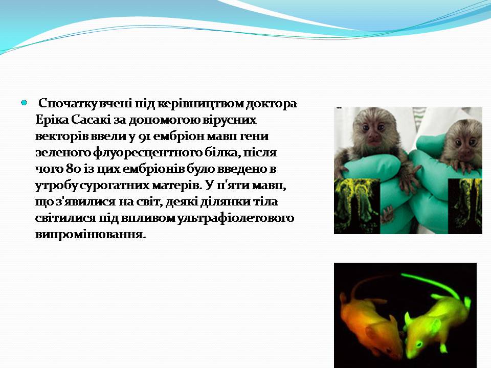 Презентація на тему «Біотехнологія, химерні та трансгенні організми» - Слайд #9
