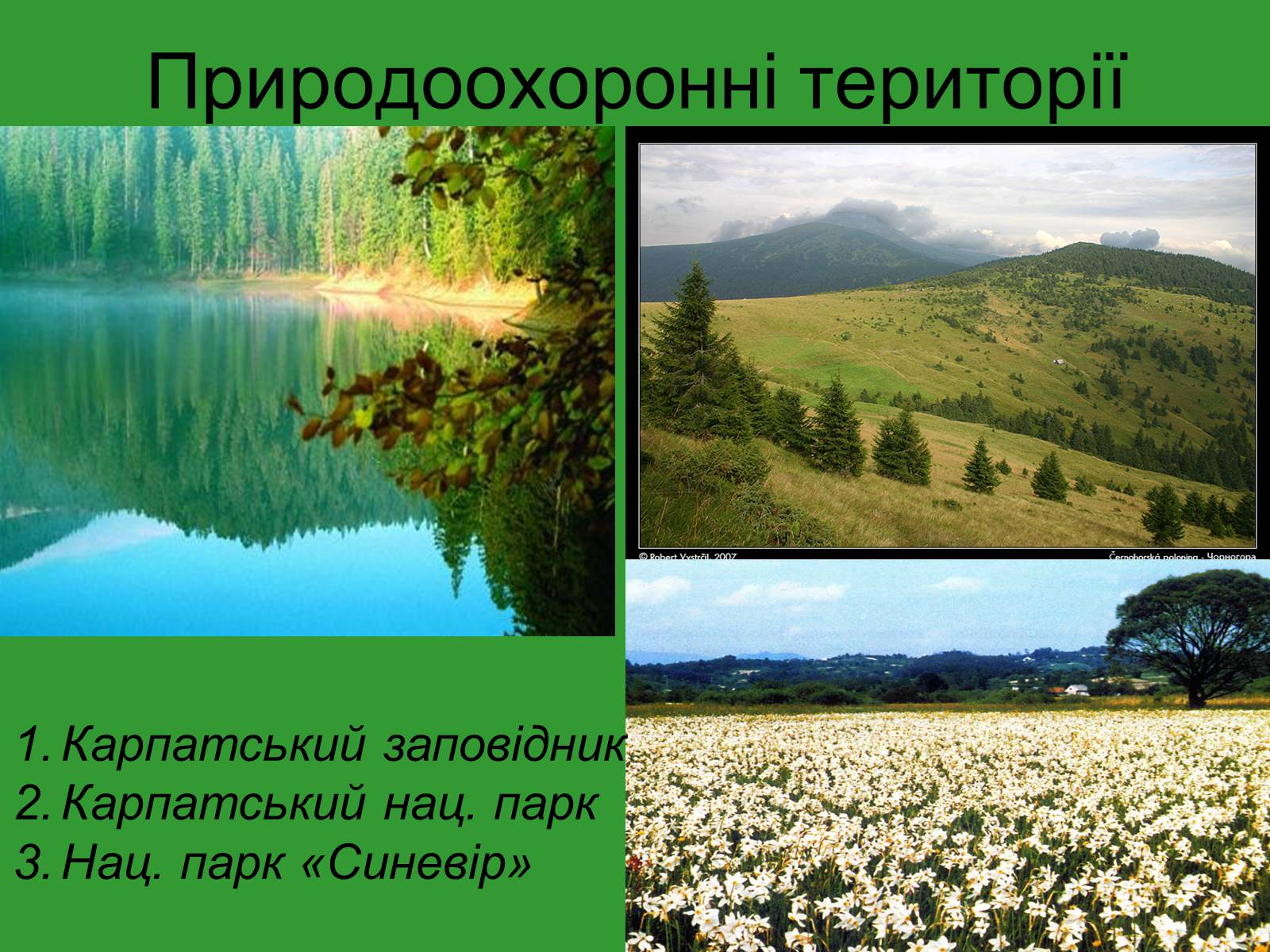 Презентація на тему «Українські Карпати» (варіант 3) - Слайд #10