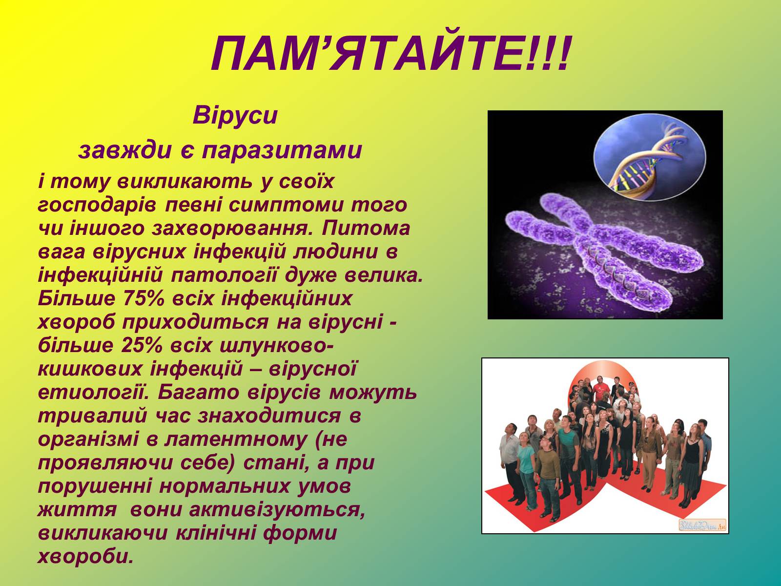 Презентація на тему «Віруси» (варіант 5) - Слайд #24