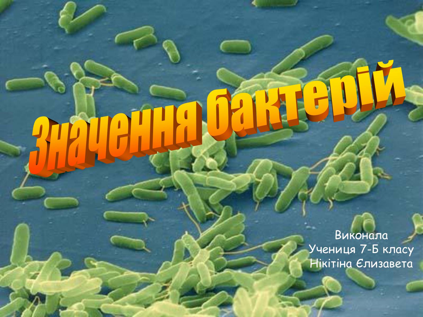 Презентація на тему «Значення бактерій» - Слайд #1