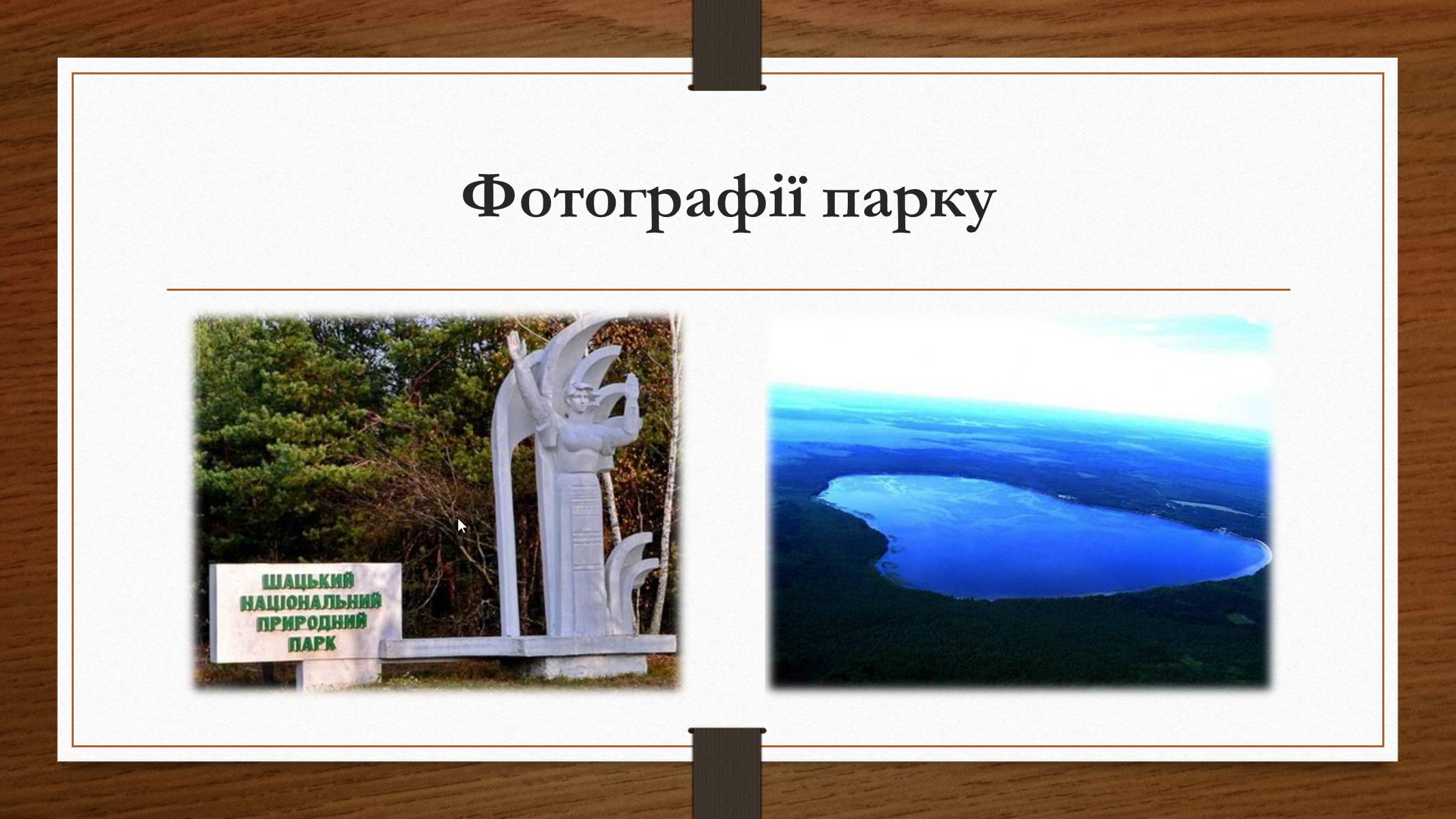 Презентація на тему «Шацький національний природний парк» (варіант 1) - Слайд #6