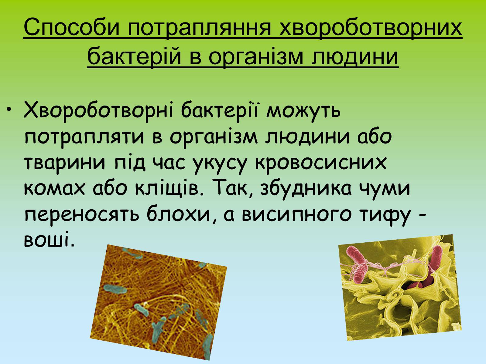 Презентація на тему «Значення бактерій» - Слайд #10