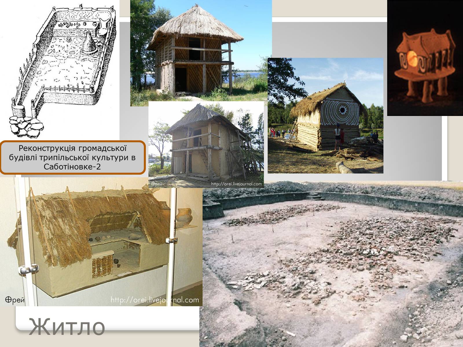 Презентація на тему «Перші землероби і скотарі на території України» - Слайд #13