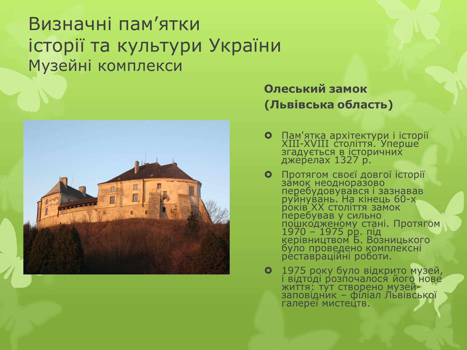 Презентація на тему «Віртуальна подорож видатними памятками України» - Слайд #14