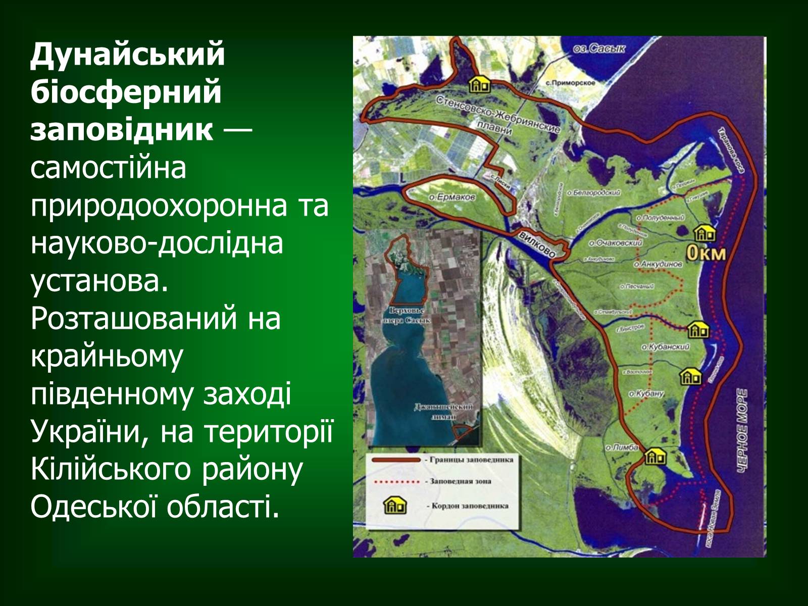 Презентація на тему «Дунайський біосферний заповідник України» - Слайд #2