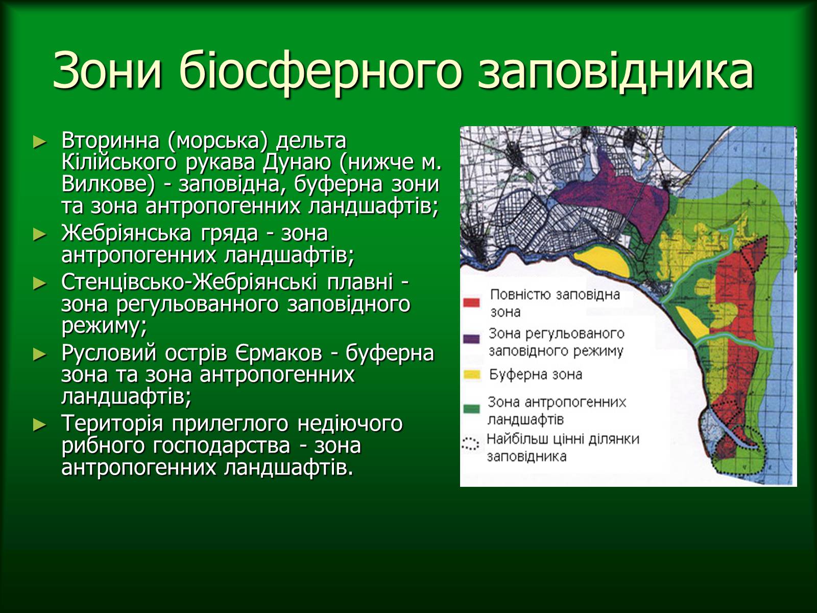 Презентація на тему «Дунайський біосферний заповідник України» - Слайд #6