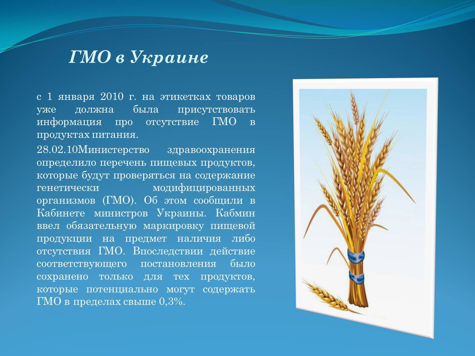 Презентація на тему «ГМО в пищевой промышленности» - Слайд #13