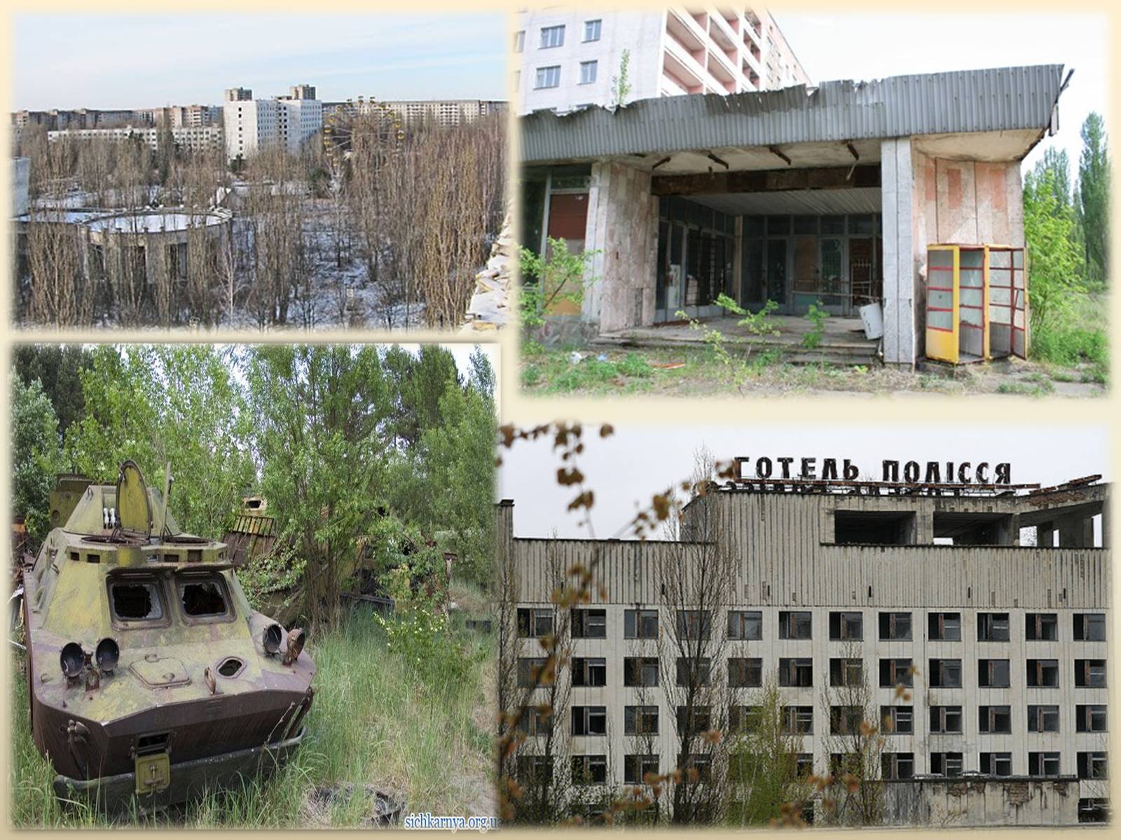 Презентація на тему «Чорнобиль» (варіант 2) - Слайд #11