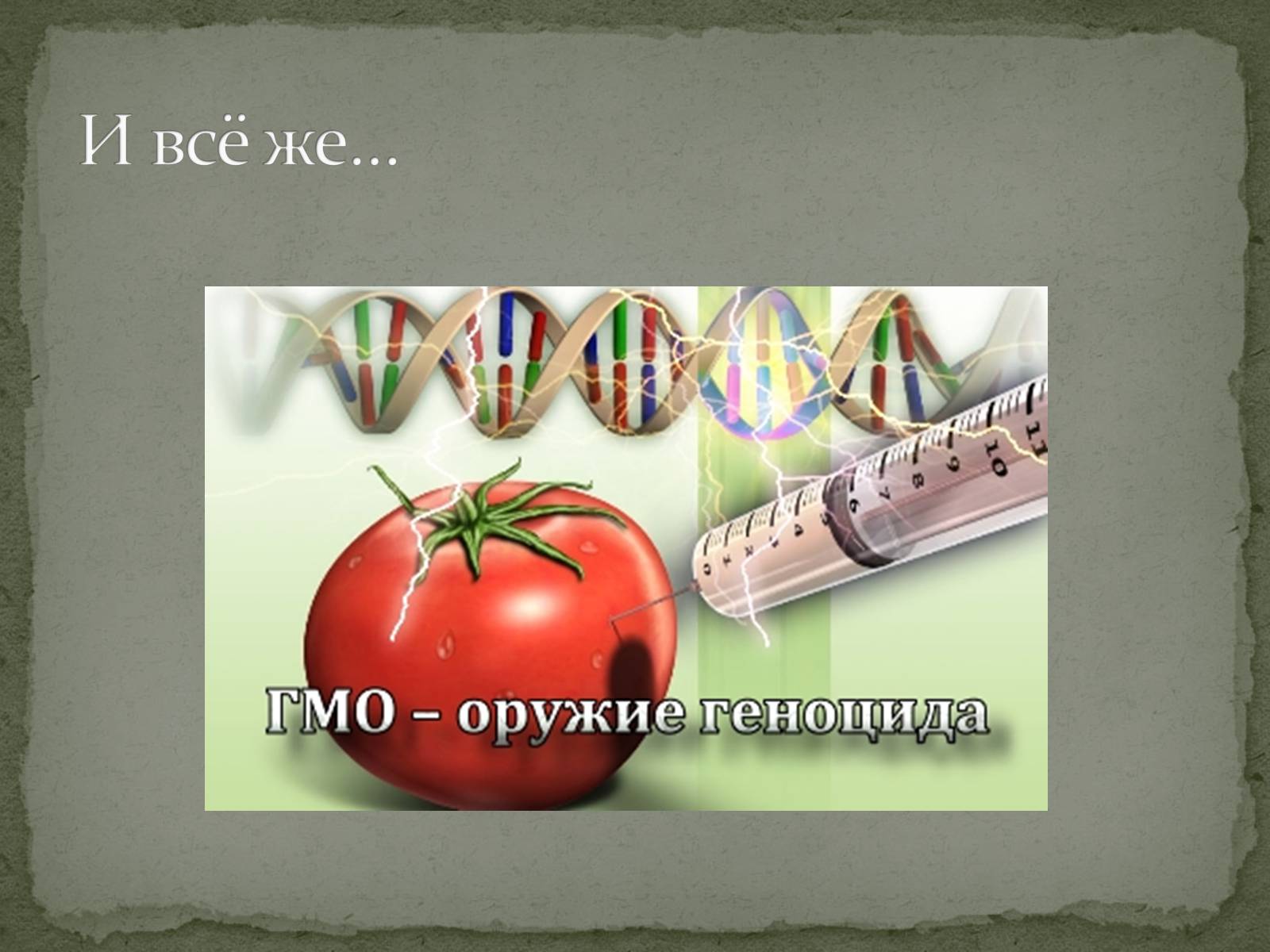 Презентація на тему «Генетически модифицированный организм» - Слайд #8