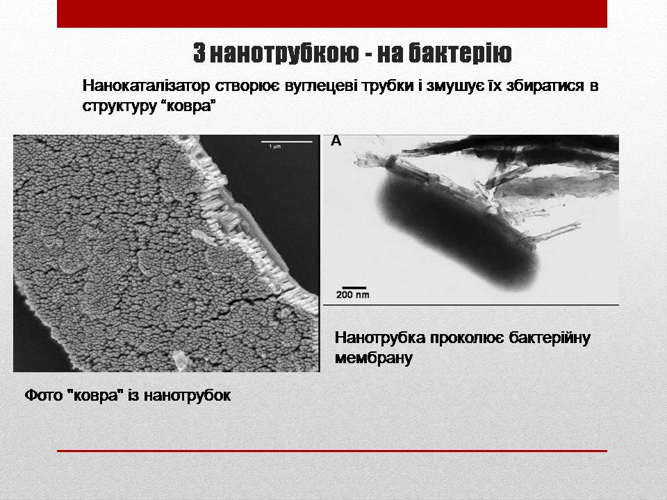 Презентація на тему «Біотехнології і наномедицина» - Слайд #6