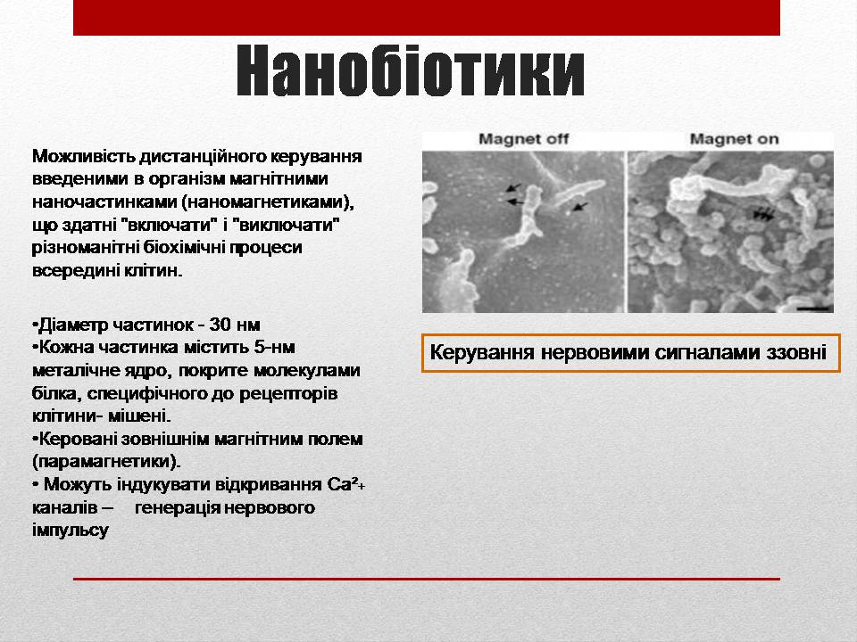 Презентація на тему «Біотехнології і наномедицина» - Слайд #11
