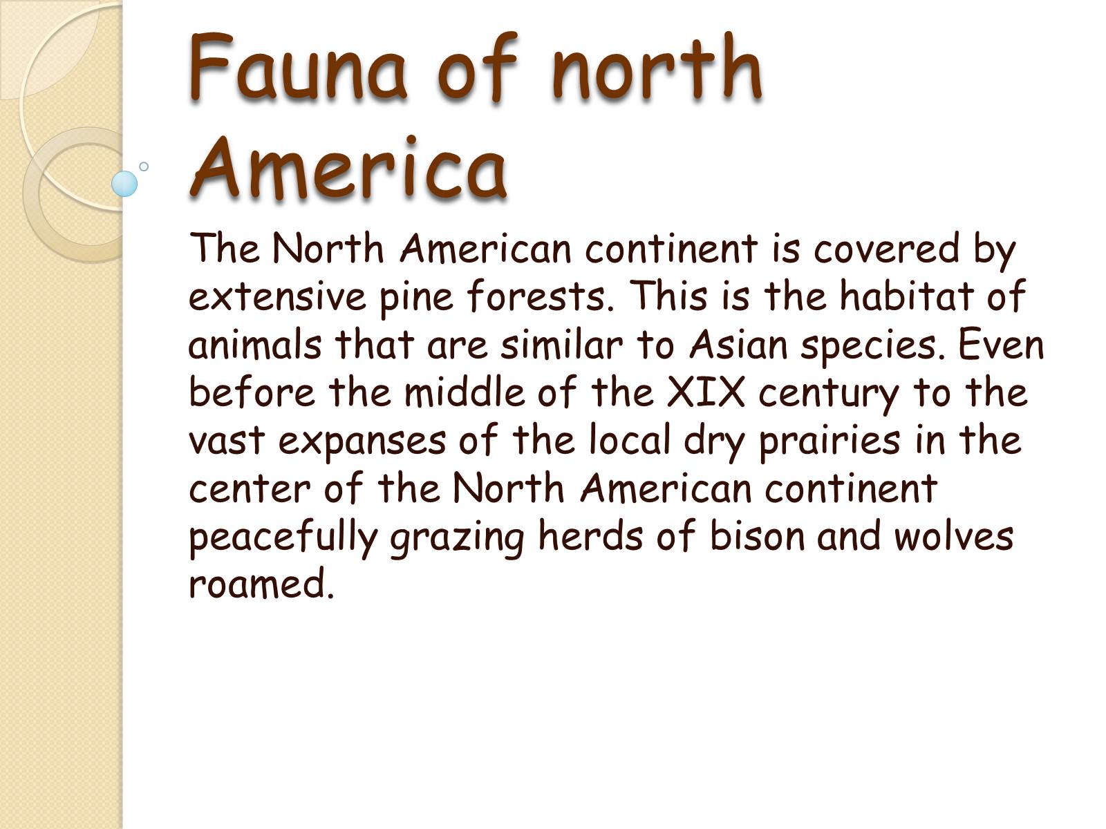 Презентація на тему «Fauna» - Слайд #10
